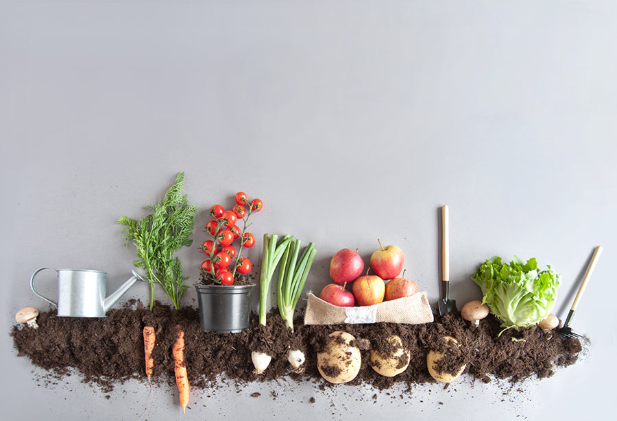 Create Eco-Friendly Habits With Your Own Backyard Compost